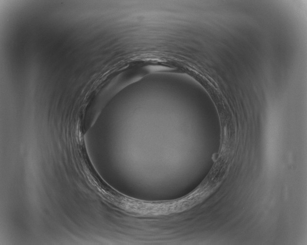 X0000084020048200702161239