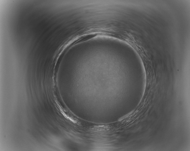X0000084020050200702161238