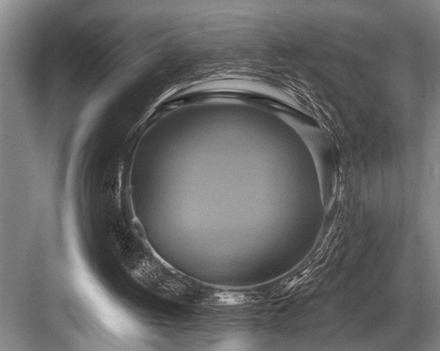 X0000084020052200702161238