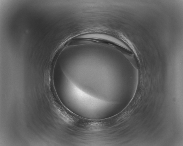 X0000084020059200702161238