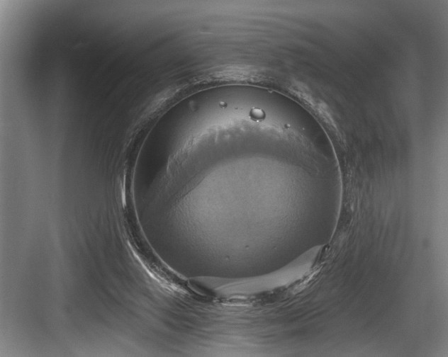 X0000084020062200702161238