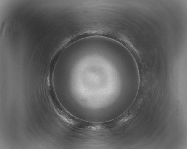 X0000084020068200702161238