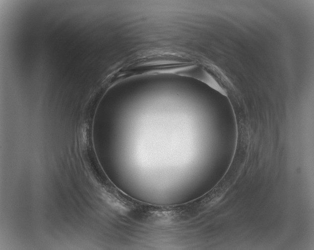 X0000084020071200702161238