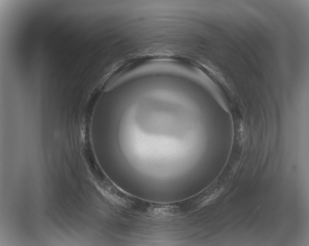 X0000084020072200702161238