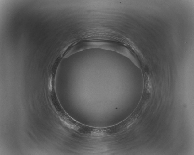 X0000084020076200702161239