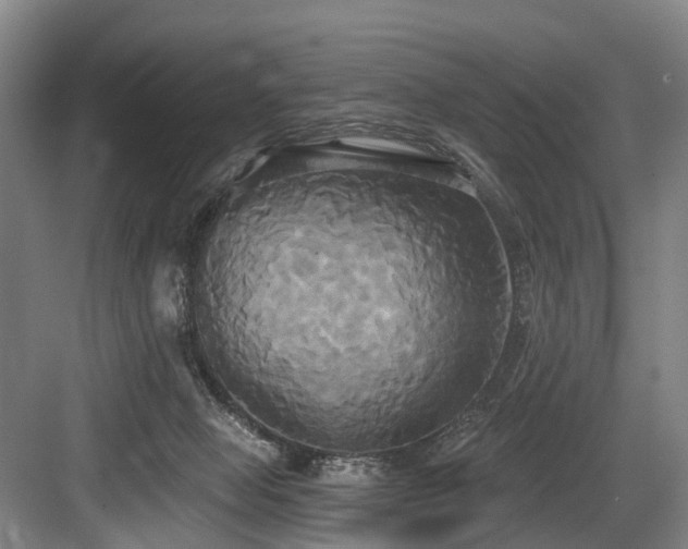 X0000084020077200702161239