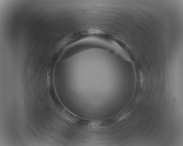 X0000084020080200702161239