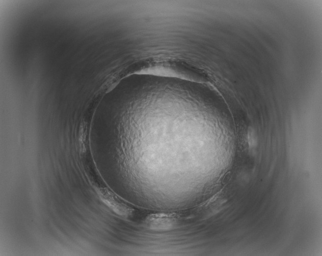 X0000084020082200702161239