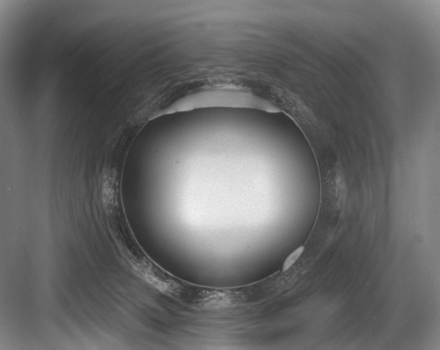 X0000084020083200702161239
