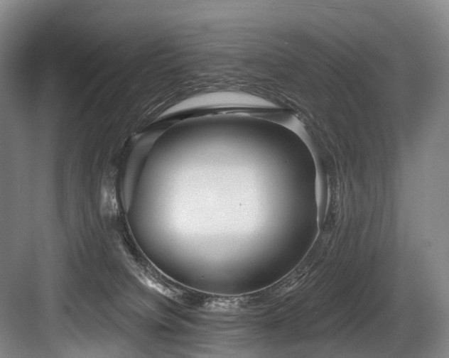 X0000084020084200702161239
