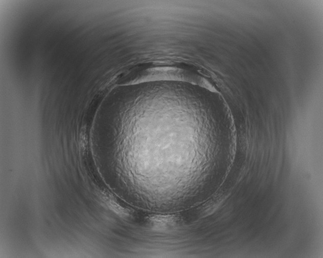 X0000084020085200702161239
