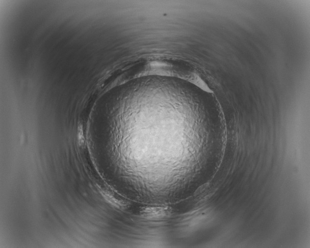 X0000084020089200702161239