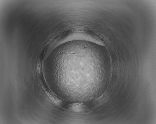 X0000084020090200702161239