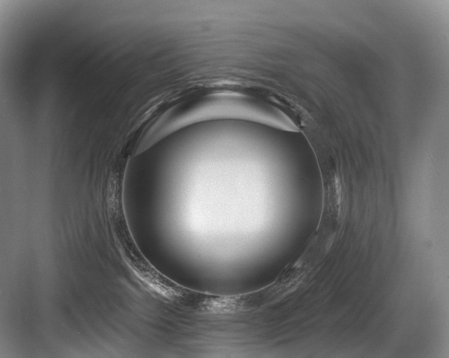 X0000084020092200702161239