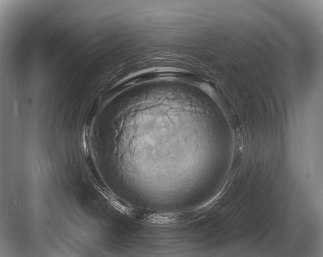 X0000084020094200702161239