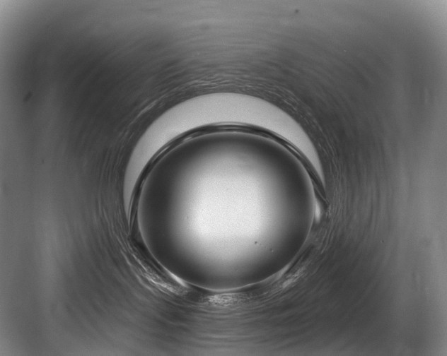 X0000084020095200702161239