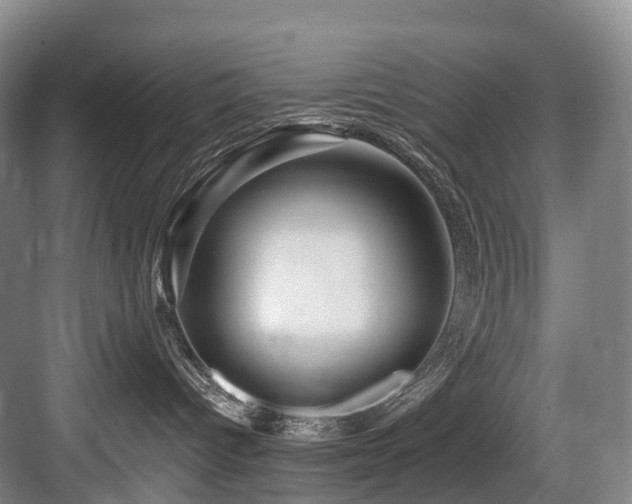 X0000084020096200702161239