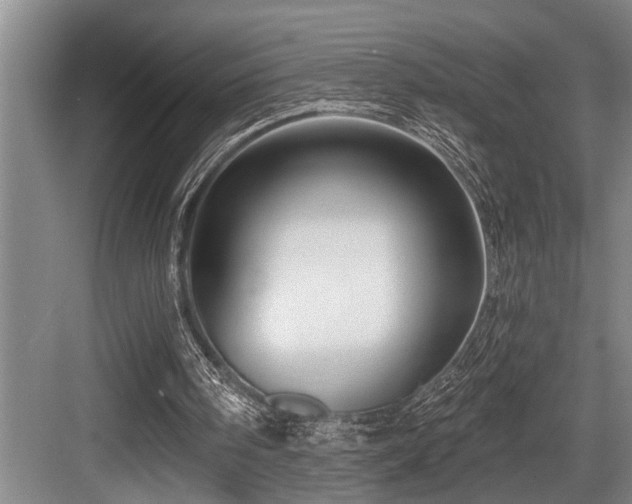 X0000084020098200702161238