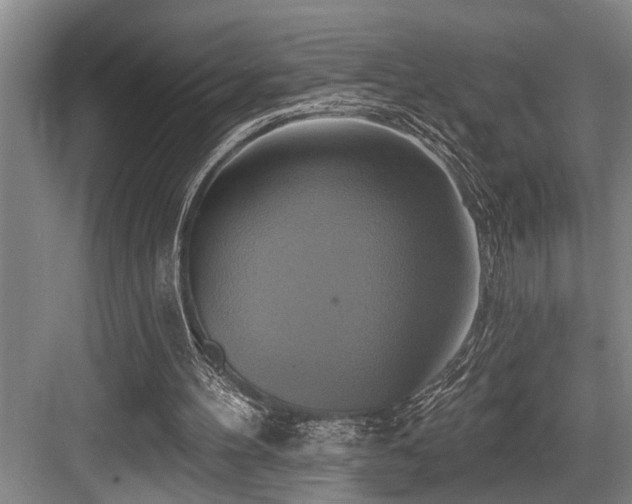 X0000084020100200702161238