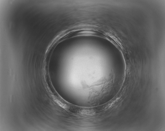 X0000084020101200702161238