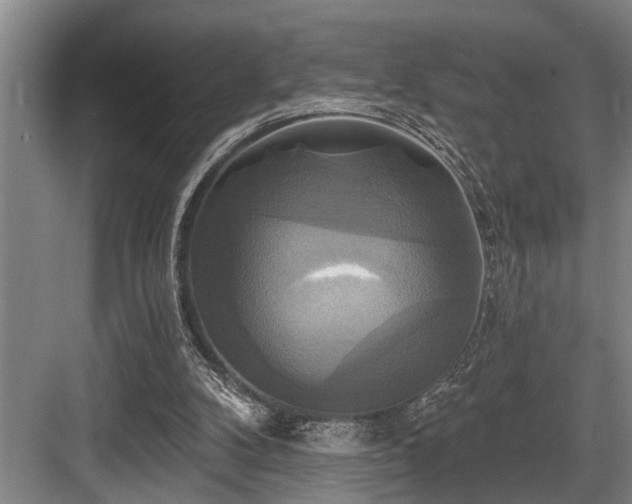 X0000084020104200702161238