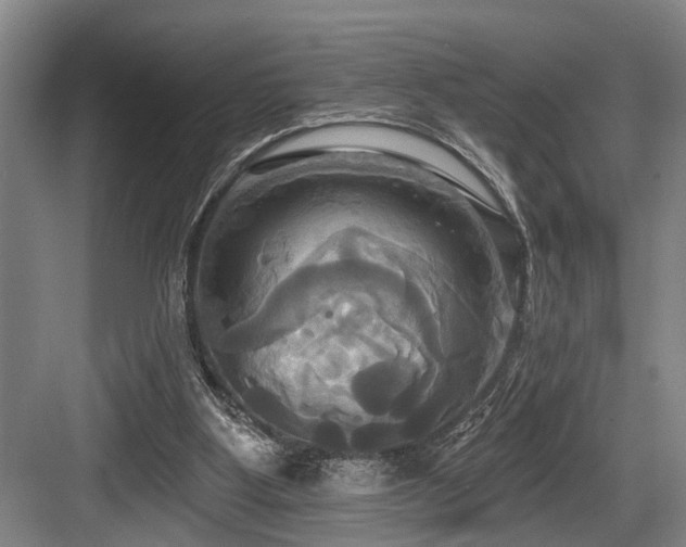 X0000084020107200702161238