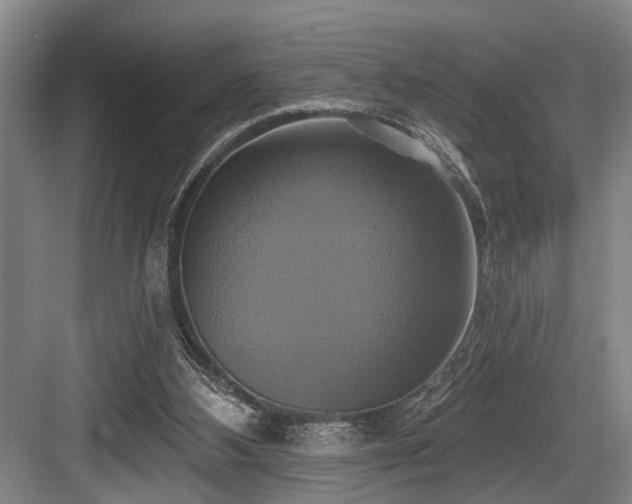 X0000084020108200702161238
