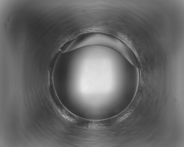 X0000084020109200702161238