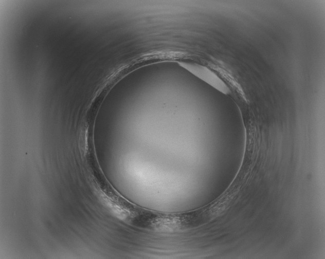 X0000084020110200702161238