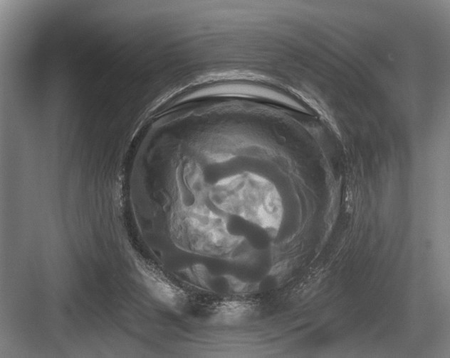 X0000084020111200702161238