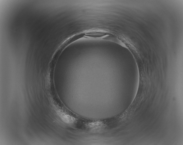 X0000084020112200702161238