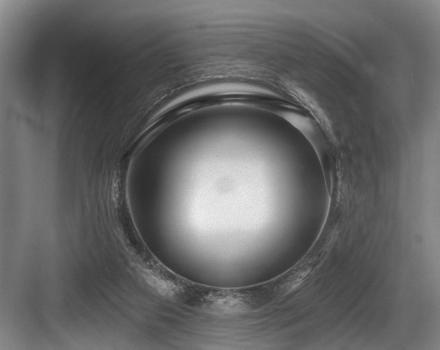 X0000084020113200702161238