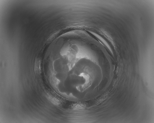 X0000084020115200702161238