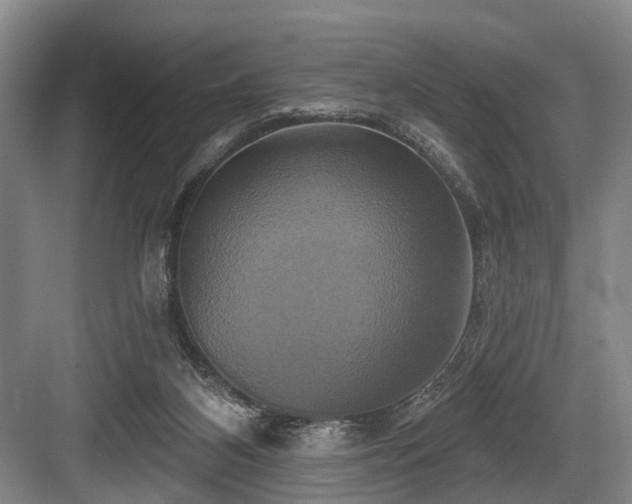 X0000084020116200702161238