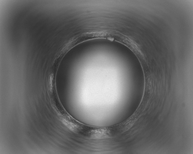 X0000084020118200702161238