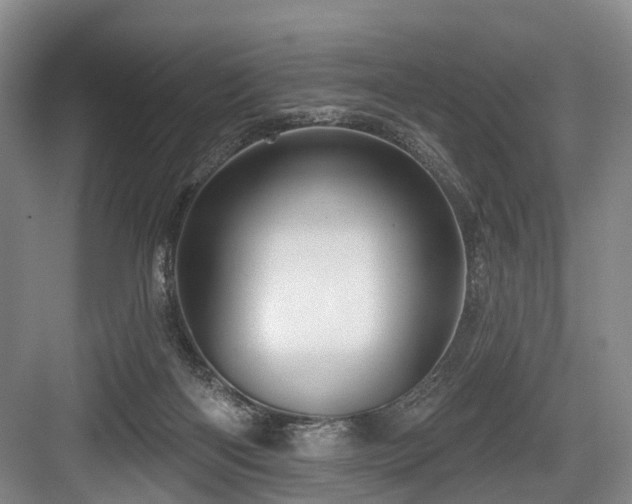 X0000084020122200702161238