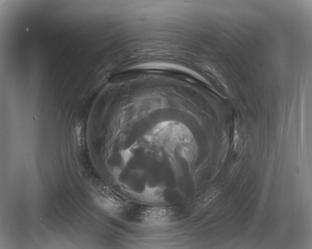 X0000084020123200702161238