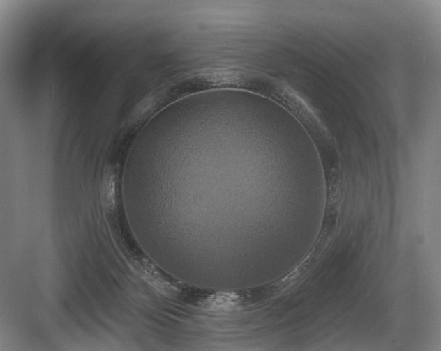 X0000084020124200702161238