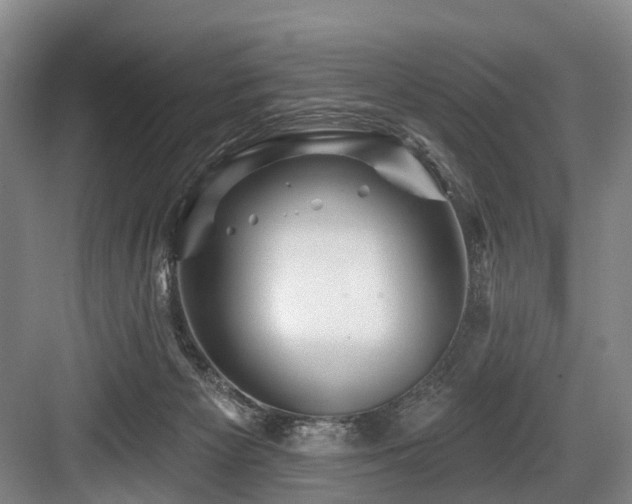 X0000084020125200702161238