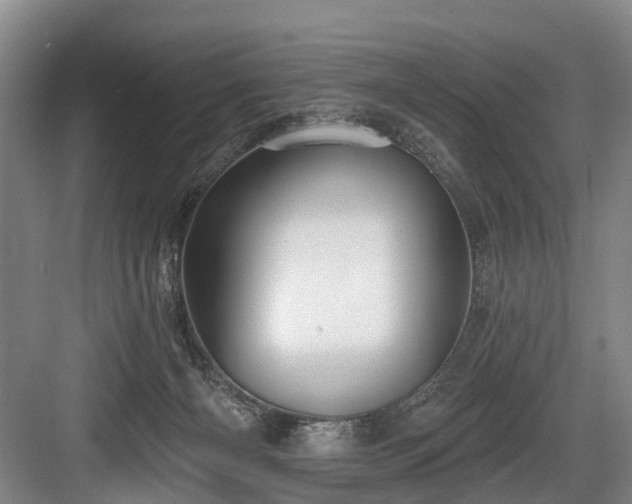 X0000084020126200702161238