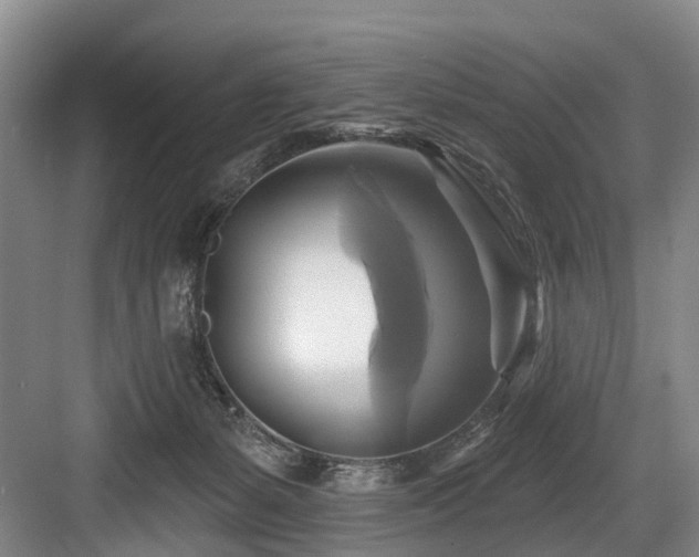 X0000084020127200702161238