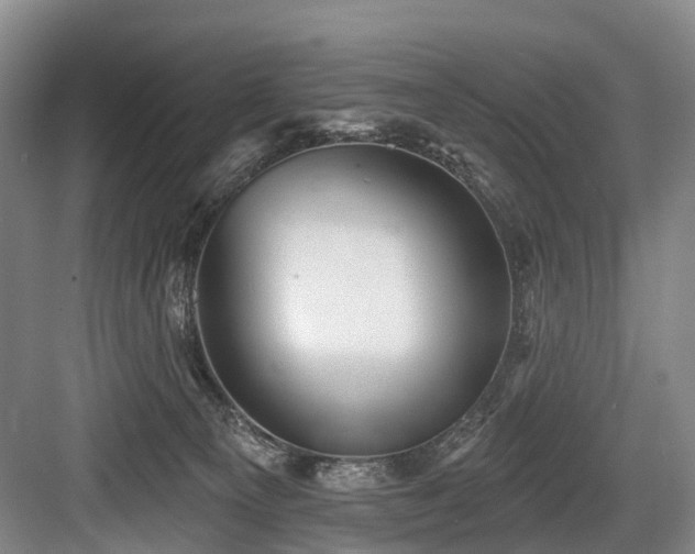 X0000084020129200702161238