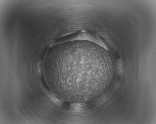 X0000084020131200702161238