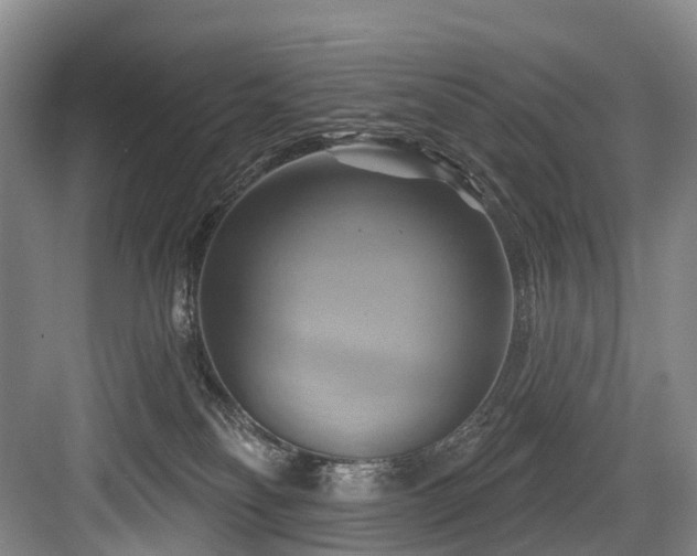 X0000084020134200702161237