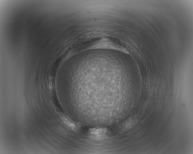 X0000084020135200702161237