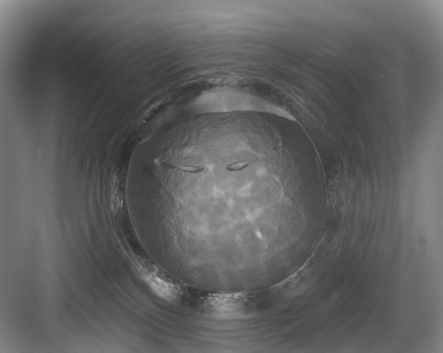 X0000084020136200702161237