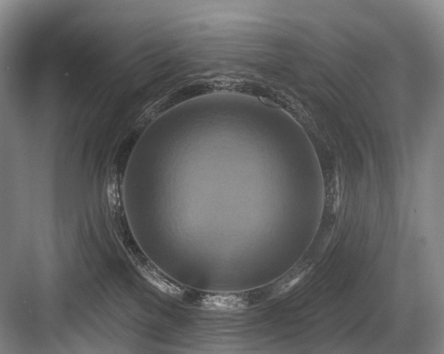 X0000084020137200702161237