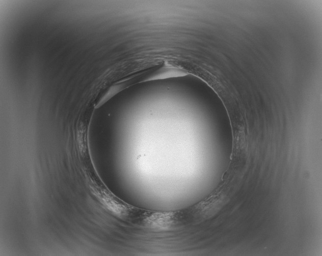 X0000084020138200702161237