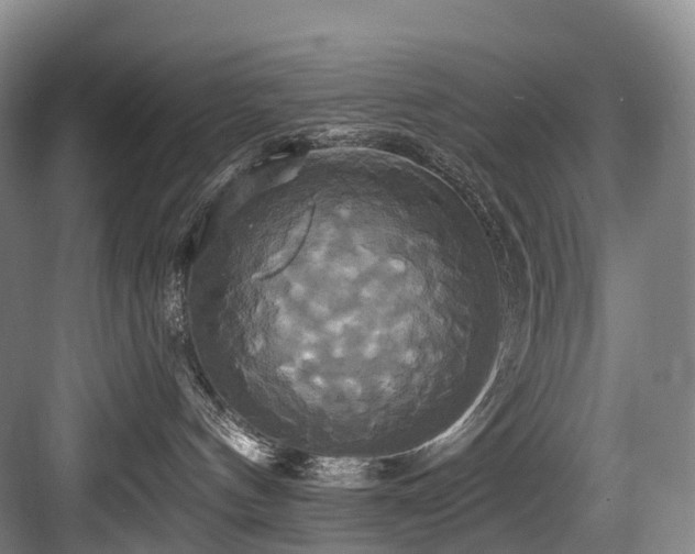 X0000084020144200702161237