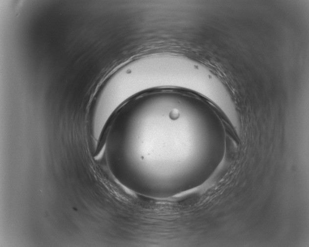 X0000084020146200702161236